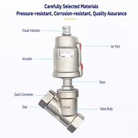 Vanne à siège incliné pneumatique filetée, en acier inoxydable 304, avec joint PTFE miroir, résistante à la vapeur 200°C, directement du fabricant