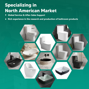 WC monobloc moderne en céramique avec chasse d'eau à double siphon, couleur blanc mat, design anti-regard, économie d'eau - Product Image 6