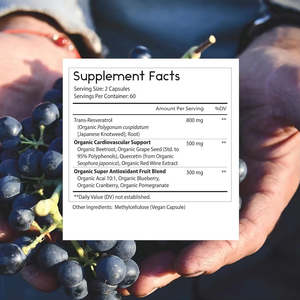 비타홀 프라이빗 라벨 레스베라트롤 캡슐 1600mg 유기농 레스베라트롤 항산화 보충제 유기농 포도씨 추출물 함유 - Product Image 3