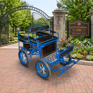 Chariot à chevaux électrique moderne de haute qualité, 4 roues, pour la course de compétition - Product Image 1