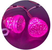 Lampes LED RGB programmables 60 mm 24 V, en plastique, pour manèges de fête foraine, thème carnaval, éclairage d'attractions, indice de protection IP65