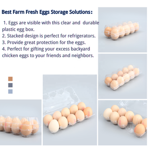 Factory Supply Kunden spezifischer Eier behälter Kunststoff-Eier karton Transparente Verpackung Eier ablage Löcher - Product Image 5