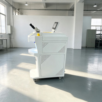 Machine de soudage au laser pulsé portable de type YAG pour la fabrication et la réparation de bijoux