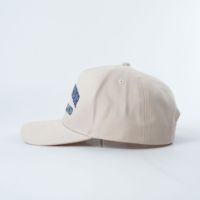 Op maat gemaakte geborduurde, hoogwaardige, gestructureerde Oxford katoenen canvas promotie souvenir baseballpet met stippenpatroon