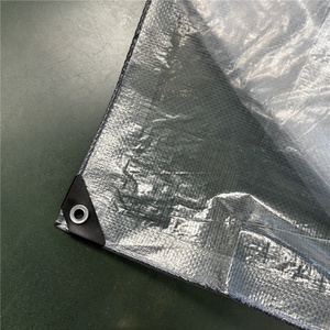 Bâche en plastique agricole transparente en PE de <span class=keywords><strong>200</strong></span> <span class=keywords><strong>microns</strong></span>, film tissé <span class=keywords><strong>pour</strong></span> <span class=keywords><strong>serre</strong></span>, couverture de pluie <span class=keywords><strong>pour</strong></span> verger, vente en gros - Product Image 4