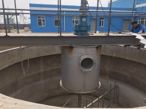 Sewage Treatment Rectangular Sedimentation <strong>tank</strong> <strong>Sludge</strong> Scraper - Product Image 3