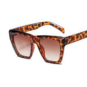 Lunettes de soleil carrées rétro transparentes marron tendance 2022 personnalisées avec rivets, style œil de chat pour femmes - Product Image 6