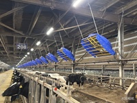 Ventilateur de grange agricole de 72 pouces pour le refroidissement et la ventilation du bétail, équipement pour ferme laitière