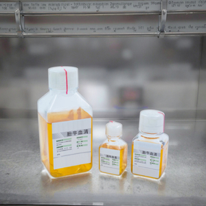50毫升100毫升500毫升1000毫升标准<span class=keywords><strong>FBS</strong></span>用于哺乳动物细胞系培养病毒测试了优异的生长性能 - Product Image 2