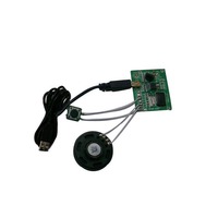 Module sonore magnétique USB standard d'exportation, mécanisme vocal enregistrable pour cartes de vœux et boîtes cadeaux, vente en gros