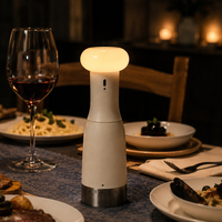 Neues Design Leuchtender Schatten-Salz- und Pfeffermühlen-Set, manuell einstellbar, mit wiederaufladbarem LED-Licht über Typ-C, Großhandel