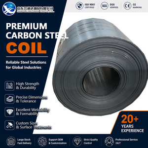 ตัดเหล็ก SS400 แบบดองน้ำมัน ขนาด 50 มม. 1000 มม. ตัดขึ้นรูปเหล็กม้วนคาร์บอน ASTM A1011 สำหรับงานวิศวกรรม - Product Image 1