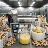 Commerciële slowjuicer, gember-koudpers, fruitpers, sapmachine voor kleine fruitverwerkingsfabrieken