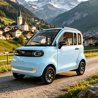 Voiture électrique mini EV à deux portes et deux places, sans permis, quatre roues, 45 km/h, pour adultes, fermée, certifiée EEC / COC / CE