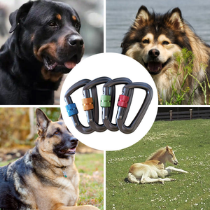 500kg 5kn Aluminum Carabiner D Shape Keychain Light Weight Dog Leash Fashion Metal Accessory