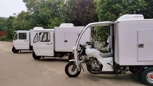 Tricycle réfrigéré à essence/électrique à alimentation CC, boîte réfrigérée pour poulet/glace - Product Image 5