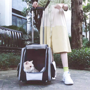 Airline Approved Mesh Breathable Travel Roll Trolley Dog Cat <strong>Backpack</strong> <strong>Wheels</strong> Pet Carrier With <strong>Wheels</strong> - Product Image 6