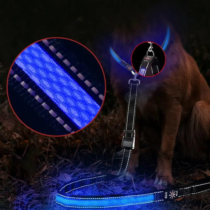 Dog Accessories Light Up Dog Leash Led Illuminating Walking Night Glowing Usb Rechargeable Led Dog Leash