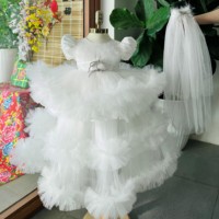 Kleidung Hochzeit Prinzessin Freizeit kleidung Sommer Mode Mädchen Kleider Kinder Spitze Mädchen Party Hohe Qualität Made In Vietnam