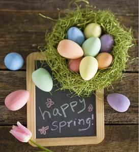 Tizas <span class=keywords><strong>para</strong></span> acera sin polvo, lavables, <span class=keywords><strong>para</strong></span> <span class=keywords><strong>juegos</strong></span> al aire libre, tipo huevo, tamaño jumbo, <span class=keywords><strong>para</strong></span> escuelas - Product Image 4