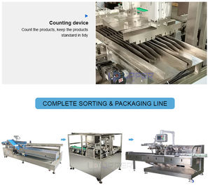 Galletas <span class=keywords><strong>de</strong></span> café Nutrición en polvo proteína Colección <span class=keywords><strong>de</strong></span> barras <span class=keywords><strong>de</strong></span> chocolate Máquina clasificadora automática <span class=keywords><strong>para</strong></span> máquina empacadora <span class=keywords><strong>de</strong></span> cajas <span class=keywords><strong>de</strong></span> cartón - Product Image 5