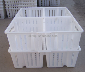 Cage de transport pour poussins, 60 pièces, cage de transport pour poussins d'un <span class=keywords><strong>jour</strong></span> - Product Image 3