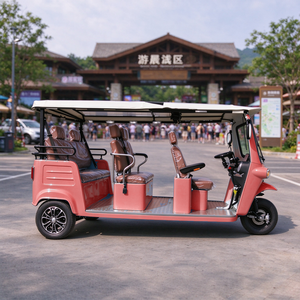 Triciclo Elettrico EEC COC 5+ Posti 72V250Ah 7.5kW 160-180km per Turismo nel Sud-Est Asiatico - Product Image 3