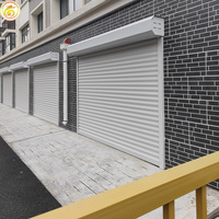 Porte à enroulement transparente en alliage d'aluminium pour usage extérieur, pour entrée extérieure, villas commerciales