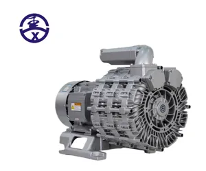 ปั๊มลมแรงดันสูงแบบวอร์เท็กซ์ TWYX รุ่น RB-35SSH-1 4KW 2.5 3.7 5 7.5 11 15 - Product Image 4
