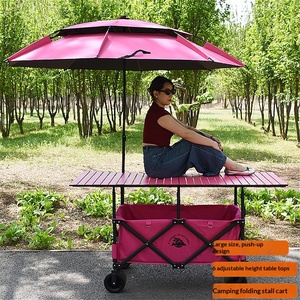 Chariot pliant d'extérieur personnalisé à roues larges, chariot de jardin, chariot de plage, chariot de camping avec pare-soleil amovible, poussette-chariot - Product Image 5
