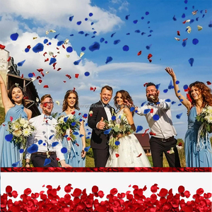 Ingrosso fiori e piante conservati 100% fiori secchi naturali <span class=keywords><strong>Confetti</strong></span> matrimonio petali di rosa <span class=keywords><strong>fiore</strong></span> per matrimonio - Product Image 6