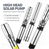 Pompe submersible solaire hybride grande capacité pour puits profond, pompe à eau DC en acier inoxydable de grande taille pour l'irrigation des puits agricoles