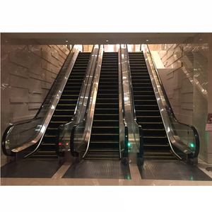 โรงแรมในร่มลิฟท์ลิฟท์บ้านบันไดเลื่อนบ้านต้นทุนบันไดเลื่อน - Product Image 3