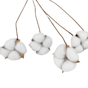 Vente en gros de <span class=keywords><strong>fleurs</strong></span> <span class=keywords><strong>séchées</strong></span> naturelles <span class=keywords><strong>Fleurs</strong></span> en <span class=keywords><strong>coton</strong></span> <span class=keywords><strong>séchées</strong></span> faites à la main pour décoration de <span class=keywords><strong>bouquet</strong></span> de bricolage - Product Image 5
