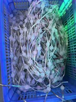Guirlande lumineuse décorative 3D en forme d'ananas, durable, étanche, pour intérieur et extérieur