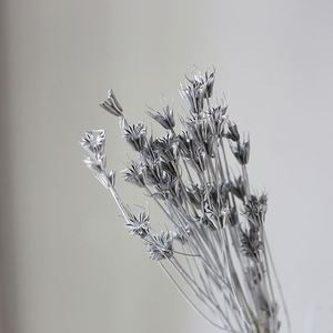 Ours en dôme de fleurs naturelles préservées en gros - Product Image 2