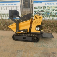 Allrad-Minilader Raupentransporter Benzinbetriebener Hydraulischer Selbstentladender Dumper 1 Jahr Garantie Hoher Drehmoment für Obstgärten