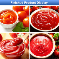 Hnoc Volautomatische Tin Tomatenpuree Fabricage Machine Tomatenpuree Maken Machine Ketchup Maker Procesfabriek