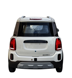 Nouvelle voiture électrique utilitaire légère à 4 portes et 5 places, système intelligent, vente pour adultes, caméra, lumières LED, métal, cuir, simple - Product Image 3