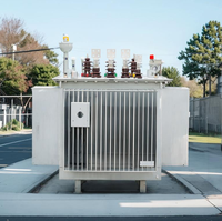 Transformateur triphasé immergé dans l'huile, abaisseur de tension, moyenne tension, haute tension, CE ANSI IEC 50/60Hz, extérieur, 630 800 1000 KVA, 20KV