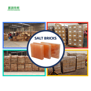 Briques <span class=keywords><strong>de</strong></span> <span class=keywords><strong>sel</strong></span> <span class=keywords><strong>de</strong></span> <span class=keywords><strong>l</strong></span>'<span class=keywords><strong>Himalaya</strong></span> sculptées pour système <span class=keywords><strong>de</strong></span> filtration adoucissant <span class=keywords><strong>l</strong></span>'<span class=keywords><strong>eau</strong></span>, durables, décoratives, thème animal, pour hôtels et complexes hôteliers - Product Image 4