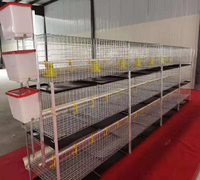 Cage à poulets automatique à 3 niveaux - Équipement d'élevage avicole à 2 portes pour l'élevage de poulets de chair (état neuf, meilleur prix)