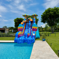 Toboggan aquatique gonflable robuste à double piste pour fêtes au bord de la piscine, toboggan aquatique commercial avec piscine intégrée