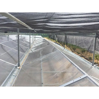 Grande serre modulaire personnalisée en polycarbonate pour véranda Maison préfabriquée en verre de style dôme avec couverture en feuille de PC Serre extérieure
