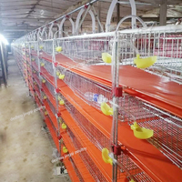 Cage à cailles empilée à 6 niveaux avec système d'alimentation et d'abreuvement automatiques, cage à batterie pour cailles pondeuses pour ferme commerciale