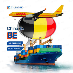 وكيل شحن جوي لوجستي للمشروع مورد خدمة سريعة وكيل شحن جوي رومانيا بولندا بلجيكا السويد نقل البضائع السائبة - Product Image 1