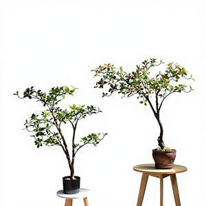 Plante Artificielle Haut de Gamme <span class=keywords><strong>en</strong></span> Plastique, Style Zen Chinois, pour Salon de Thé, Bureau, Décoration d'Îlot de Table - Product Image 1