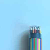 Ensemble de 24 crayons de couleur en bois, fournitures d'art pour dessin et croquis