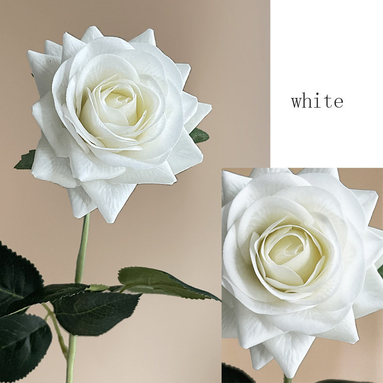 Bianco