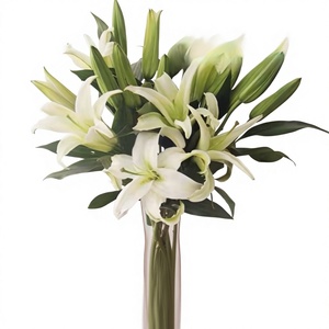 Lirios Blancos Perfumados sin Pétalos, Venta al por Mayor desde Kunming, Yunnan, para San Valentín/Día de la Madre/Navidad, Decoración del Hogar, Uso en el Cabello - Product Image 1